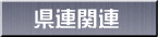 県連関連